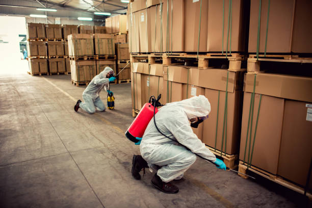 Best Bed Bug Extermination  in Cactus Flats, AZ