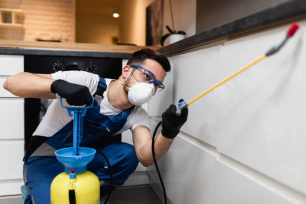 Best Insect Control  in Cactus Flats, AZ