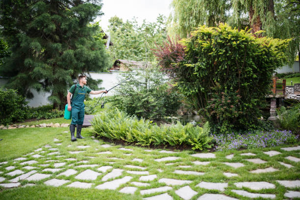 Best Mosquito Control Services  in Cactus Flats, AZ